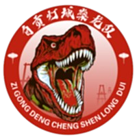 自贡灯城燊龙队